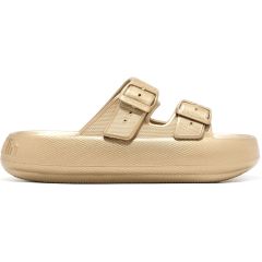 D. Franklin gold slide DFSH334001