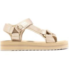 D. Franklin gold DFSH404001